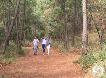 Terreno / Lote , Tapalpa · Venta de Terreno en Tapalpa Campestre