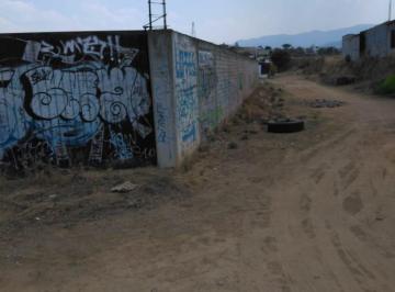 Puerta metálica de ingreso · Terreno Bardeado en Venta en Cruz Blanca, Mpio. de Cuilapam de Guerrero, Oaxaca.