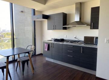 Departamento de 1 habitación, San Andrés Cholula · Renta Departamento Amueblado Adamant 1