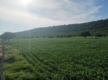 Terreno industrial , Cocula · Venta de Terreno Villa Corona