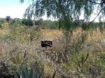 Terreno / Lote , León · Venta de Terreno de 1000 m² en Lomas del Sur - Santa Ana del Conde - Negociable