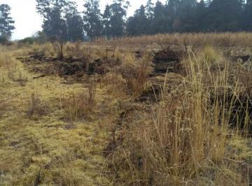 Terreno / Lote · 607m² · Terreno Habitacional por Zoologico de Zacango