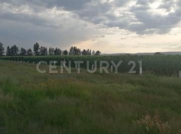 Terreno / Lote · 16432m² · Terreno en Venta