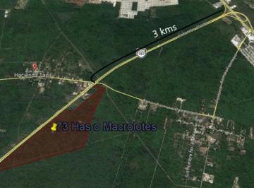 Terreno / Lote , Umán · Terreno Industrial Sobre Carretera a Campeche a 3 Km de Periférico Umán, Yucatán. - (4)