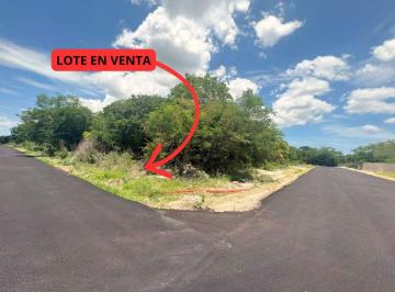 Terreno / Lote , Progreso · Terreno en Venta en Merida