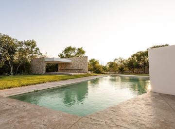 Terreno / Lote , Progreso · Terreno en Venta en Merida