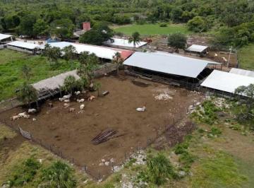 Rancho de 2 habitaciones, Sucilá · Venta de Rancho Candelaria en Sucilá, Tizimín, Yucatán
