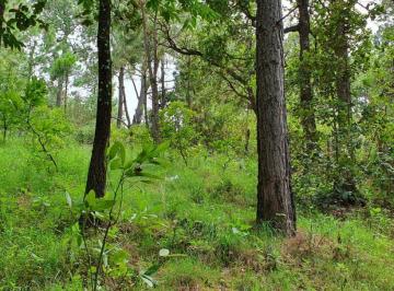 Terreno / Lote , Mazamitla · Se Vende Terreno en Mazamitla