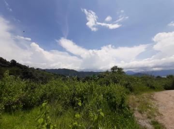 Terreno / Lote · 1000m² · Terreno en Venta - (4)