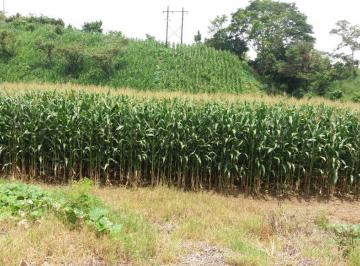 Rancho , Villaflores · En Venta Rancho Agrícola y Ganadero de 62 Htas. en Villaflores, Chiapas