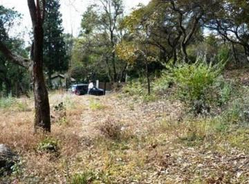 Terreno / Lote , Tepoztlán · Terreno en Venta en Tepoztlán - (4)