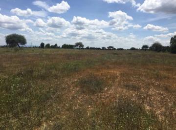 Terreno / Lote , San Luis de la Paz · Terreno en Venta - San Luis de La Paz - Gto - Te214