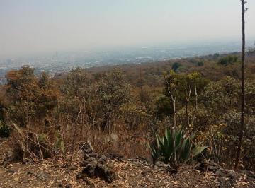 Terreno / Lote , Temixco · Terreno Temixco 12,309 m²