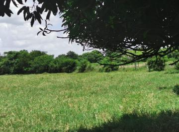 Terreno / Lote , Medellín · Venta Terreno en Medellin de Bravo, Veracruz