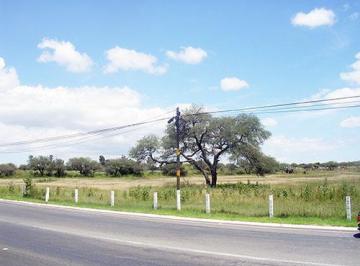 Terreno / Lote · 9900m² · Terreno - Congregacion El Sáuz