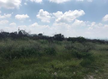 Terreno / Lote · 500m² · Terreno en Venta - (4)
