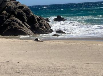 Terreno / Lote , Santa María Huatulco · Venta Terreno en Huatulco 94 Ha y 400 m de Playa