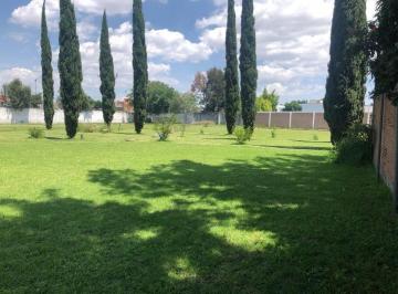 Terreno / Lote · 4266m² · Terreno en Venta - (4)