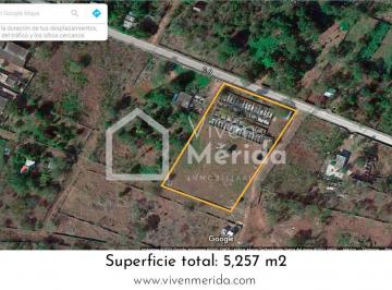 Terreno / Lote , Tetiz · Terreno Urbanizado en Venta en Tetiz Yucatán