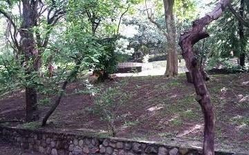 Terreno / Lote · 25000m² · Terreno en Venta - (4)