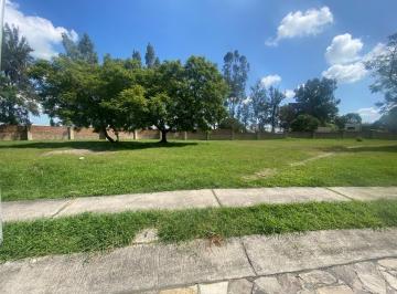 Terreno / Lote · 547m² · Excelente Terreno en Diana Natura!