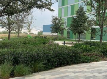 Oficina · 273m² · 50 Estacionamientos · Oficina Parque Coorporativo