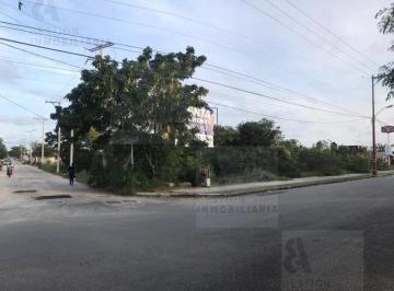 Terreno comercial · 1000m² · Rento Terreno en Av en Fracc. Caucel, Mérida, Yucatán.