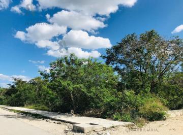 Terreno / Lote · 2000m² · En Venta Terreno en Privada Dzidzil - Ha Mérida, Yucatán. Ctv91
