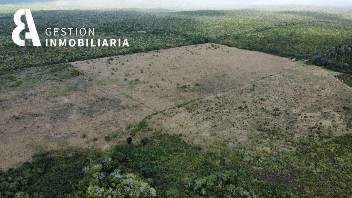 Land for Sale, 1200 Ha, Tekax, Yucatán. Ctv16.