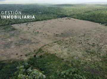Terreno / Lote , Tekax · Terreno en Venta 1200 Ha Tekax, Yucatán. Ctv16.