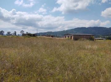 Terreno / Lote , Ixtapan de la Sal · Terreno en Venta Ixtapan de La Sal El Abrojo
