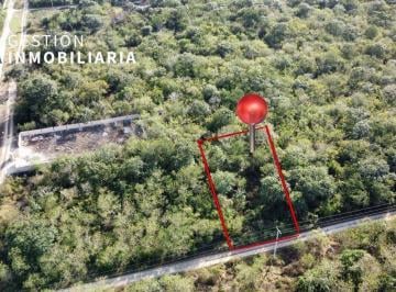 Terreno / Lote , Conkal · Terreno en Venta en San Diego Cutz, Conkal, Yucatán. Ctv197