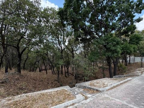Exclusivos terrenos en venta. haras del bosque. fraccionamiento fin…