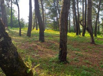Terreno / Lote · 5000m² · Terreno en Venta - (4)