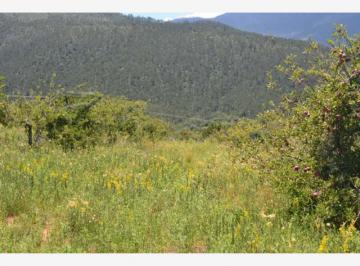 Terreno / Lote , Arteaga · Terreno Campestre en Venta en Arteaga