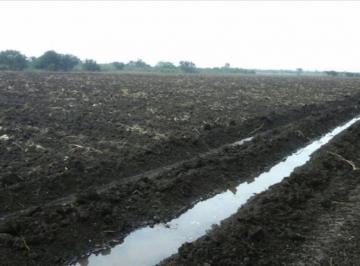 Terreno / Lote · Terreno de 150 Hectáreas en Venta en Santa Margarita. San Andrés Tuxtla, Ver.