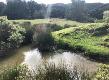Terreno / Lote , Omitlán de Juárez · Terreno en Venta Omitlán, Hidalgo. Propiedad