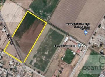 Terreno / Lote · 42216m² · Terreno - Pueblo San José Palma Gorda