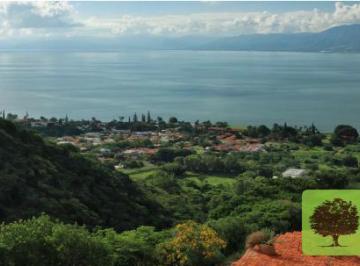 Terreno / Lote , Jocotepec · Terrenos en Venta en Jocotepec, Chapala Desde $350 Usd m²
