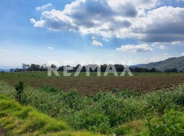 Terreno / Lote · 60000m² · Terreno en Venta - (4)