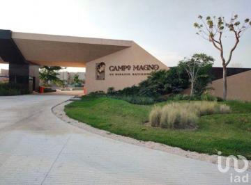 Terreno / Lote · 420m² · Venta de Terreno en Campo Magno. Dzibilchaltún, Yucatán.