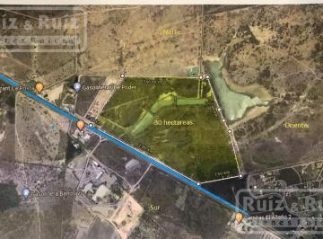 Terreno / Lote · 300000m² · Terreno - Jardines de La Ladera