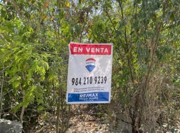 Terreno / Lote , Tulum · Venta Terreno en Veleta Para Desarollador - (4)