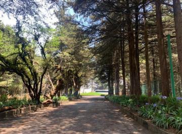 Terreno / Lote , Ocoyoacac · Terreno en Venta Frente a Los Encinos