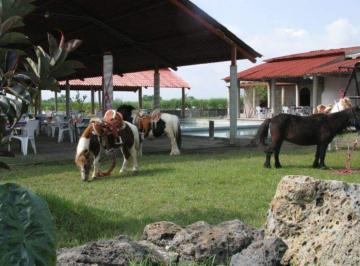Rancho · 180m² · 3 Recámaras · Rancho en Lázaro Cárdenas Zacatepec - Crb - 991 - Ra