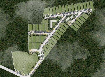 Terreno / Lote en Venta   · Terreno en Venta en La Privada Camporal