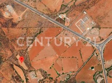 Terreno / Lote · 40476m² · Terreno en Venta San Francisco del Oro Chihuahua