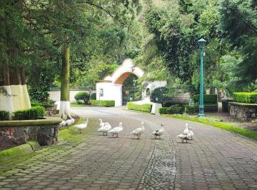 Terreno / Lote , Ocoyoacac · Terreno en Venta
