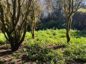 Terreno / Lote · 4493m² · Terreno en Venta - (4)
