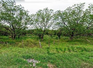 Terreno comercial , General Escobedo · Terreno en Venta en Escobedo